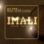 DJ TPZ Ft. Fekza, Ma Eve & Gumza – Imali Cover Version