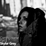 Skylar Grey  I'm coming home MP3 