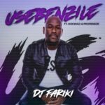 DJ Fariki Usebenzile MP3