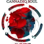 CannadiQ Soul – All Of You (Twenty Threeted Mix)