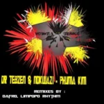 Dr Tebzen , Nokwazi – Phuma Kim (Incl. Remixes)